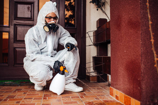 Reliable Wasp Removal contractor in Franklin, PA by Show Me Pest Control